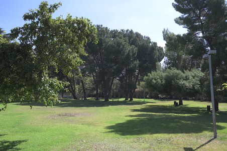Enlarge photo 33