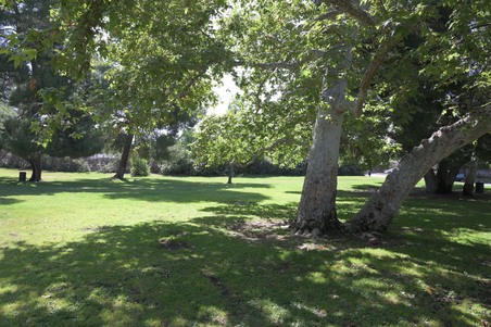 Enlarge photo 34