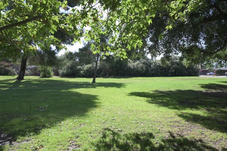 Enlarge photo 35