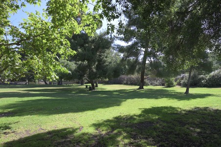Enlarge photo 37