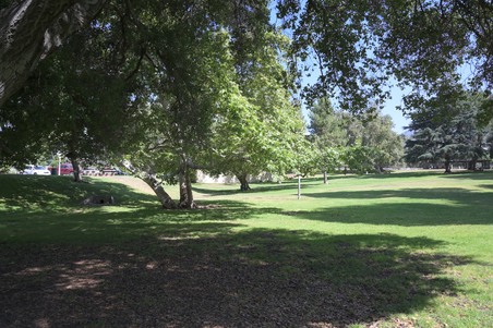 Enlarge photo 38