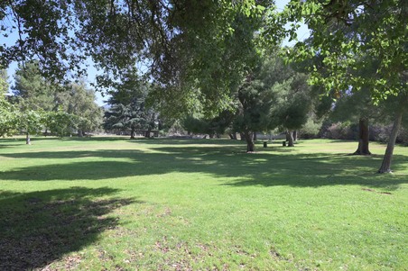 Enlarge photo 39