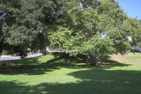 Enlarge photo 40