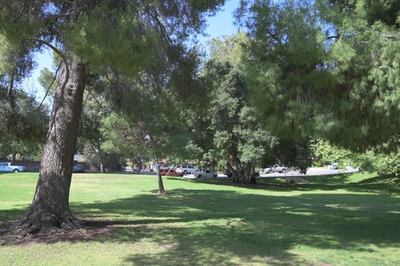 Enlarge photo 41