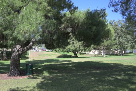 Enlarge photo 42