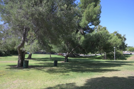 Enlarge photo 43