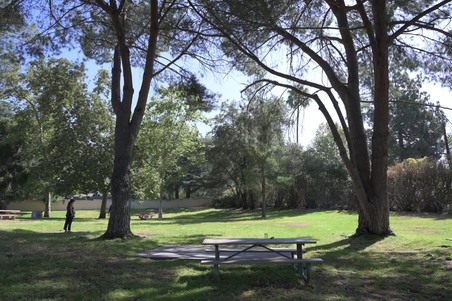 Enlarge photo 45