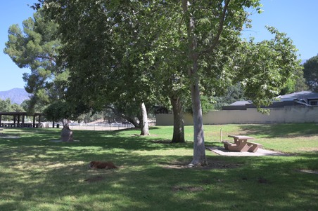 Enlarge photo 47