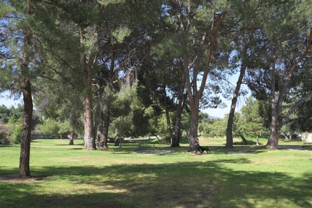 Enlarge photo 48