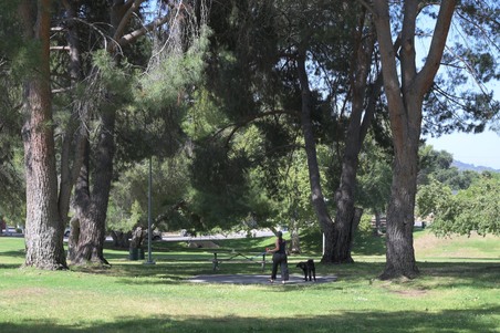Enlarge photo 49
