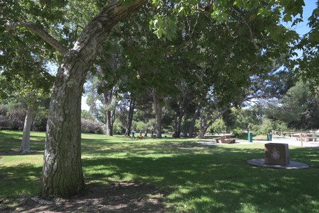 Enlarge photo 51