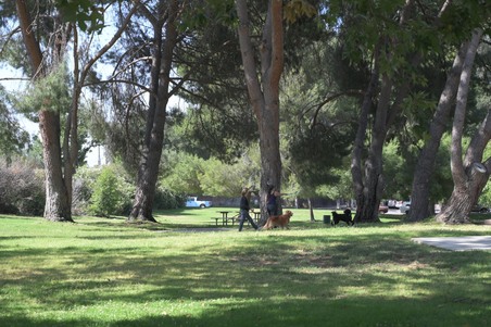 Enlarge photo 52