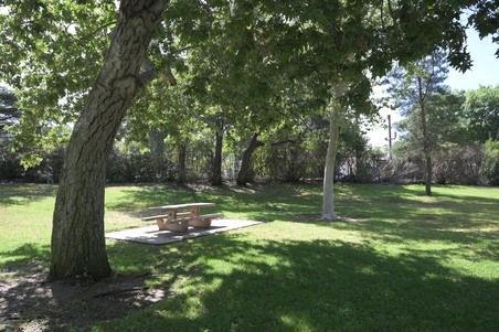 Enlarge photo 53