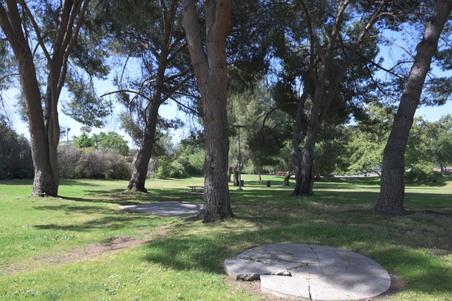 Enlarge photo 54