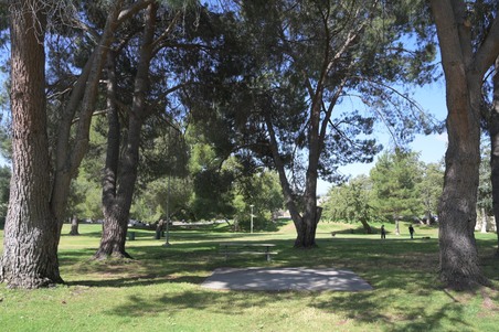 Enlarge photo 55