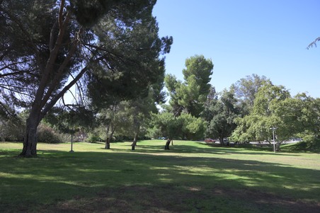 Enlarge photo 57