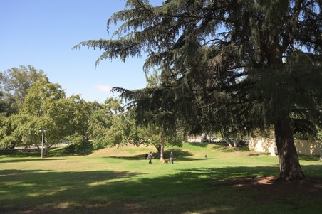 Enlarge photo 58