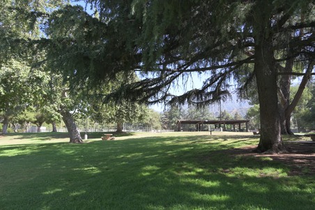 Enlarge photo 60