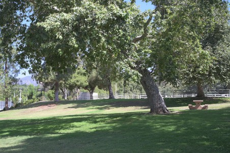 Enlarge photo 62