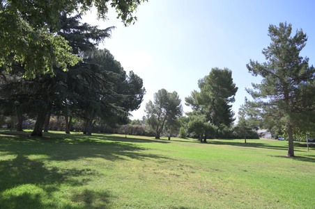 Enlarge photo 63