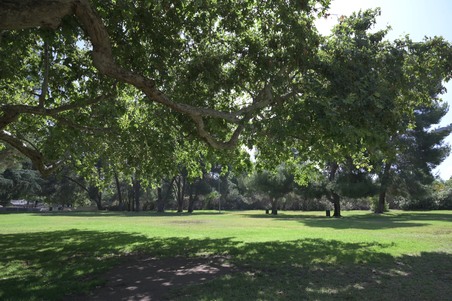 Enlarge photo 64