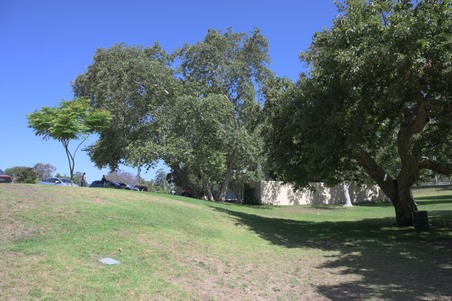 Enlarge photo 68