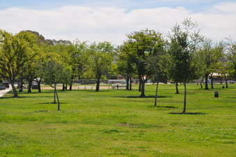 Enlarge photo 14