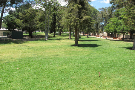 Enlarge photo 26