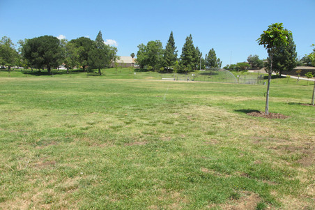Enlarge photo 28