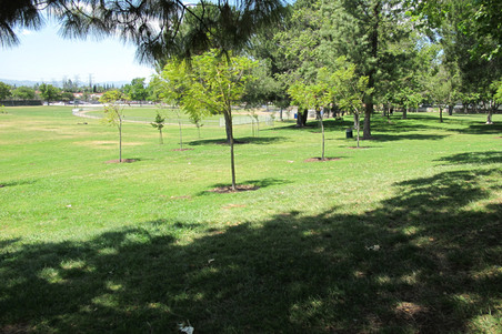 Enlarge photo 29