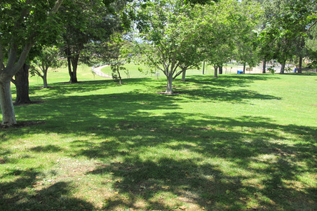 Enlarge photo 31