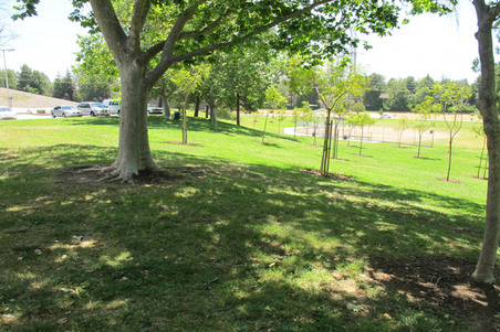 Enlarge photo 32