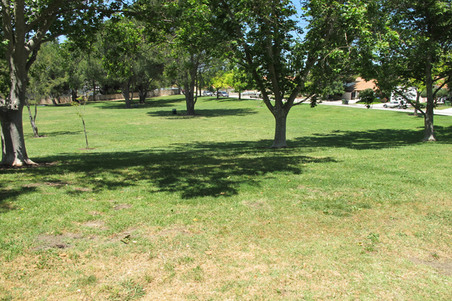 Enlarge photo 30