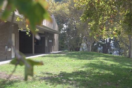 Enlarge photo 14