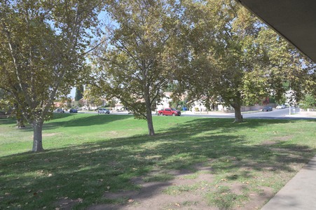 Enlarge photo 17