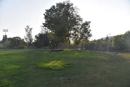 Enlarge photo 14