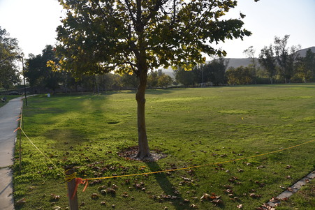 Enlarge photo 22