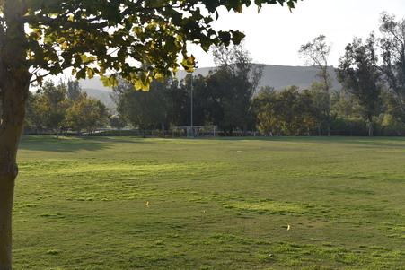 Enlarge photo 24