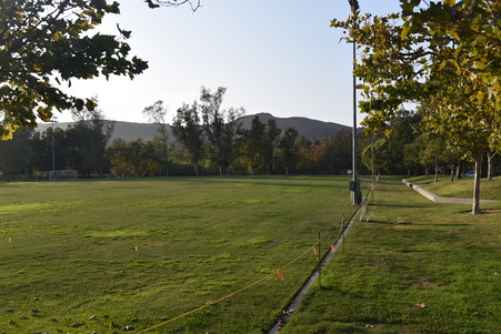 Enlarge photo 25