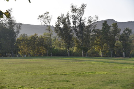 Enlarge photo 26