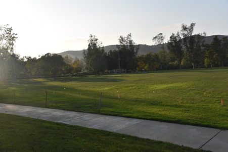 Enlarge photo 28