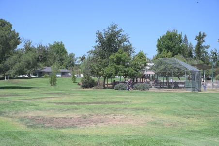 Enlarge photo 3