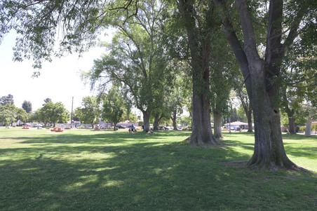 Enlarge photo 23