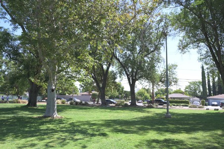 Enlarge photo 27