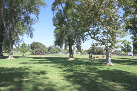 Enlarge photo 29