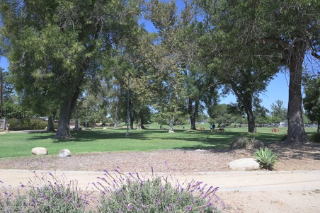 Enlarge photo 35