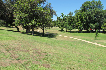 Enlarge photo 24