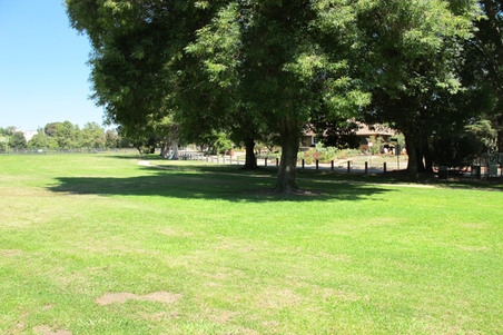 Enlarge photo 33