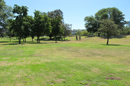 Enlarge photo 35