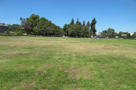 Enlarge photo 34
